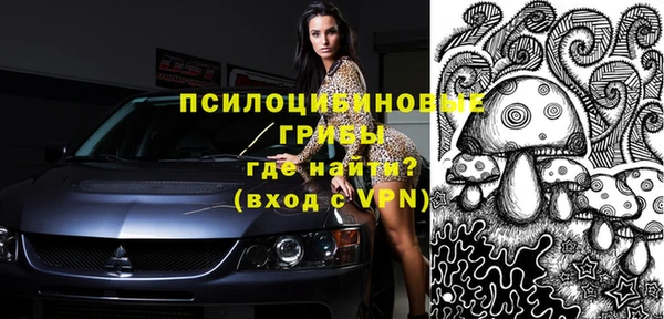 ешки Кукмор