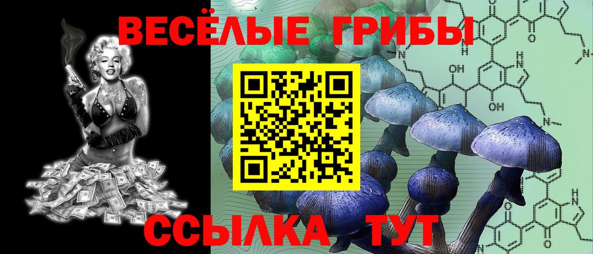 Псилоцибиновые грибы GOLDEN TEACHER  Псилоцибиновые грибы ЛСД  Строитель  Вход с VPN 